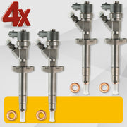 0445110141 Inyector Renault, Nissan, Opel 2.5 DCI Bosch 166001387R Inyector 0986435086, 7701474813